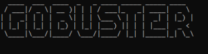 Gobuster: A Comprehensive Guide for Cybersecurity Professionals