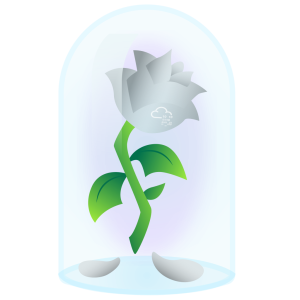 TryHackMe WhiteRose Walkthrough Step-by-Step