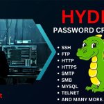 Hydra Password-Cracking Tool: A Comprehensive Guide